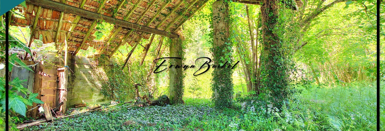 Maison 3 Pièces 40 m² à vendre à Saint-Paul (33390)