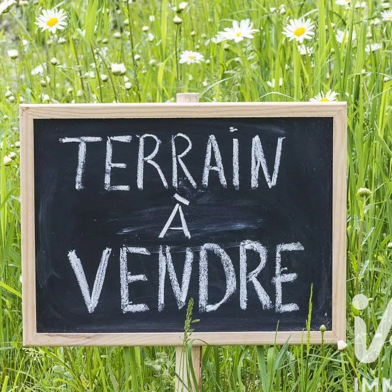 Terrain  156000 €