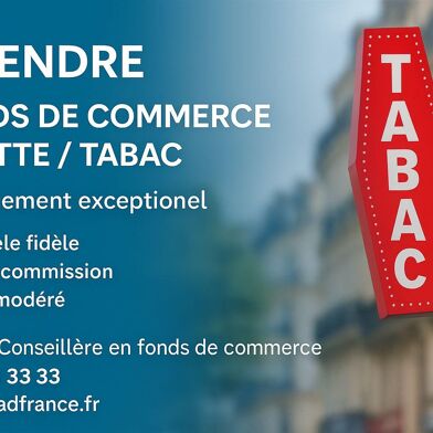 Commerce  698000 €