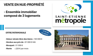 Appartement 144 m² en viager Saint-Étienne (42000)