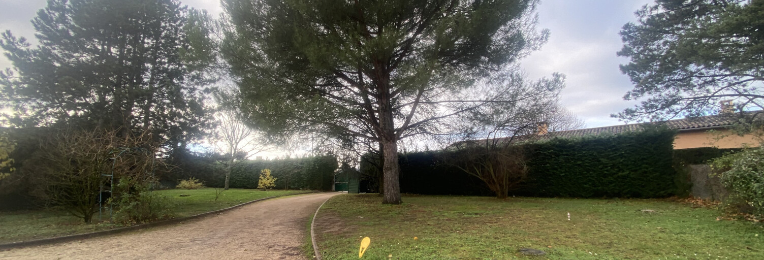 Terrain  700 m² à vendre à Lissieu (69380)