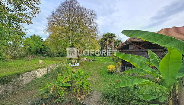 Villa / Maison 12 pièces  à vendre Navarrenx 64190