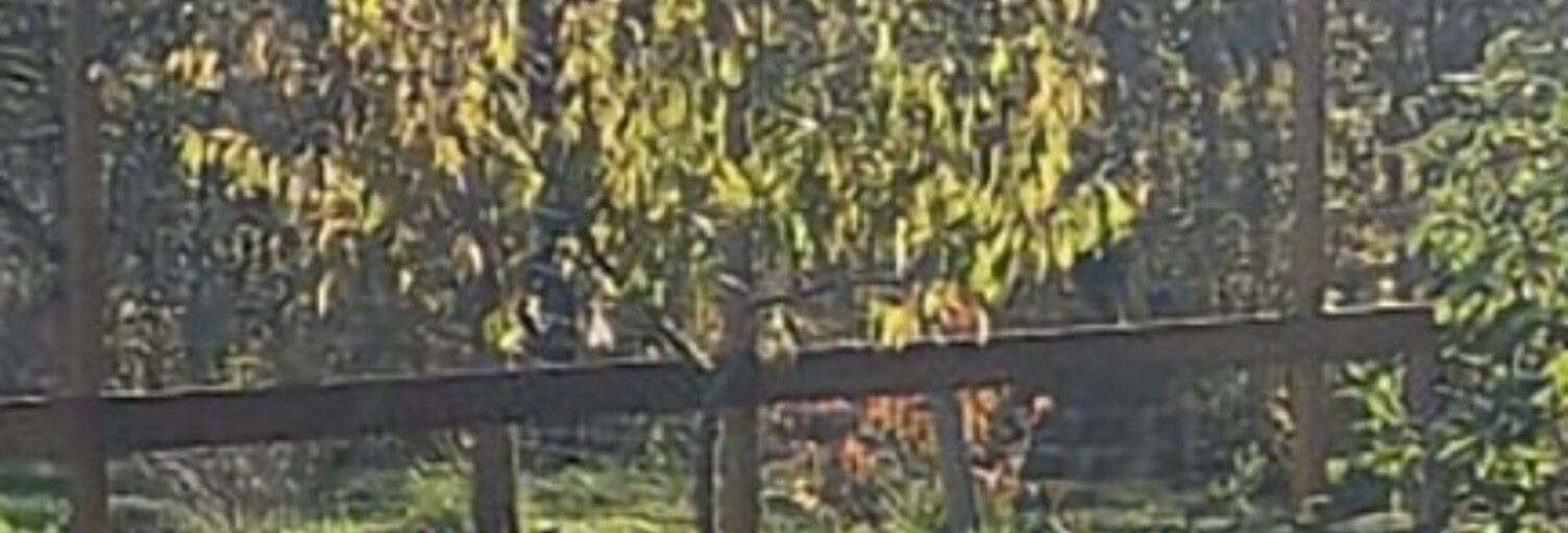 Terrain  860 m² à vendre à Louchats (33125)