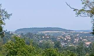 Terrain  23620 m² à vendre à Ribérac (24600)