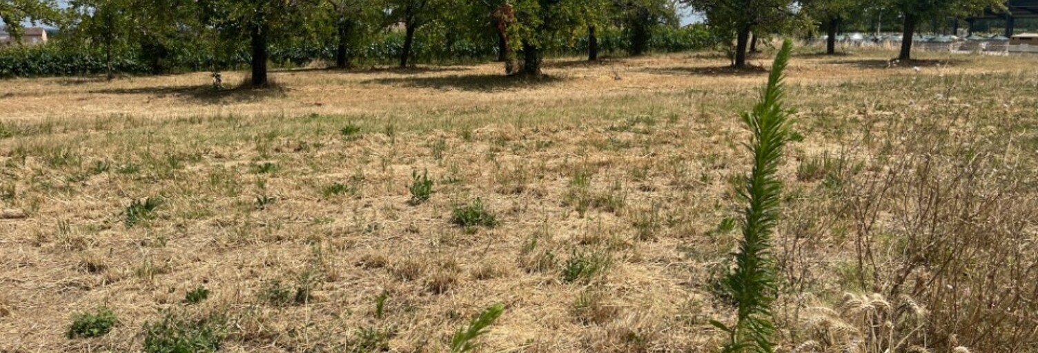 Terrain  620 m² à vendre à Lévignac-de-Guyenne (47120)