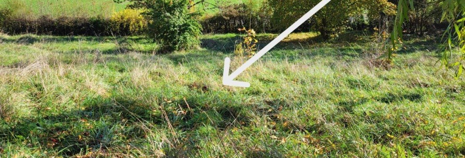 Terrain  650 m² à vendre à Cluny (71250)