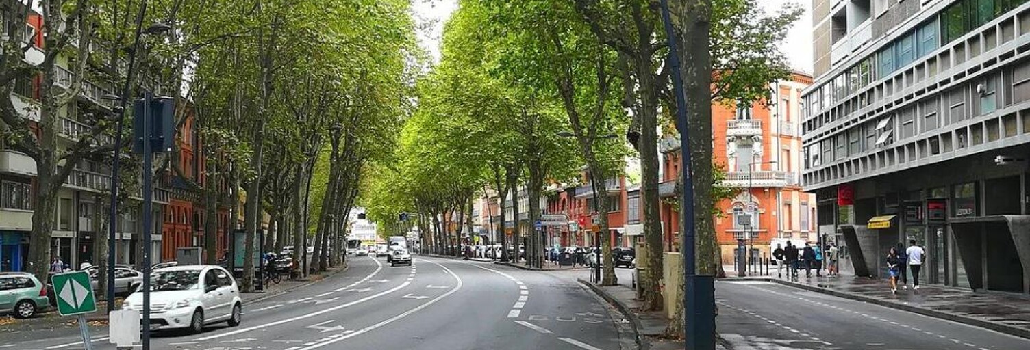 Appartement 2 Pièces 44 m² à vendre à Toulouse (31000)