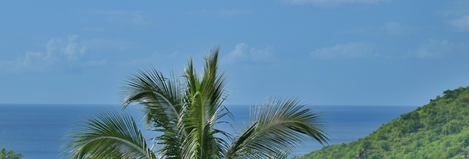 Maison 5 Pièces 109 m² à vendre à Les Anses-d'Arlet (97217)