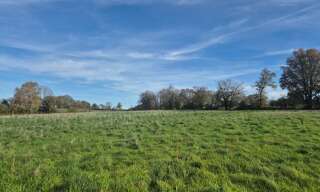 Terrain  17650 m² à vendre à Orsennes (36190)
