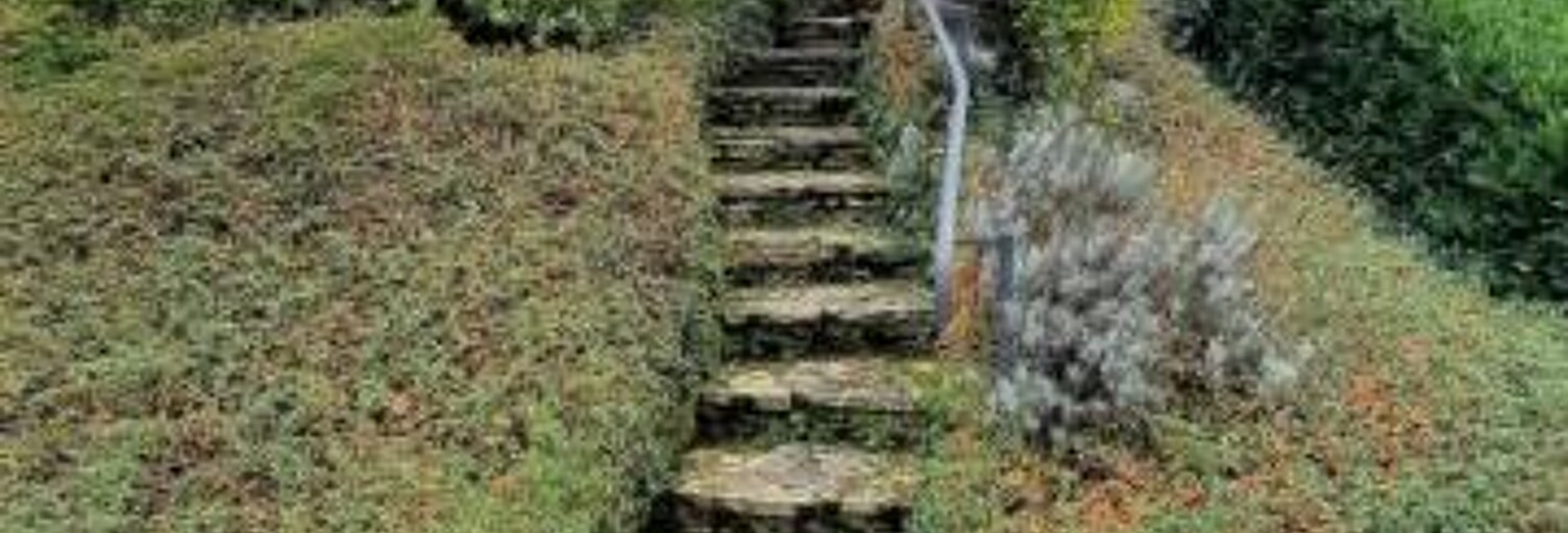 Maison 6 Pièces 127 m² à louer à Saint-Martin-en-Bresse (71620)