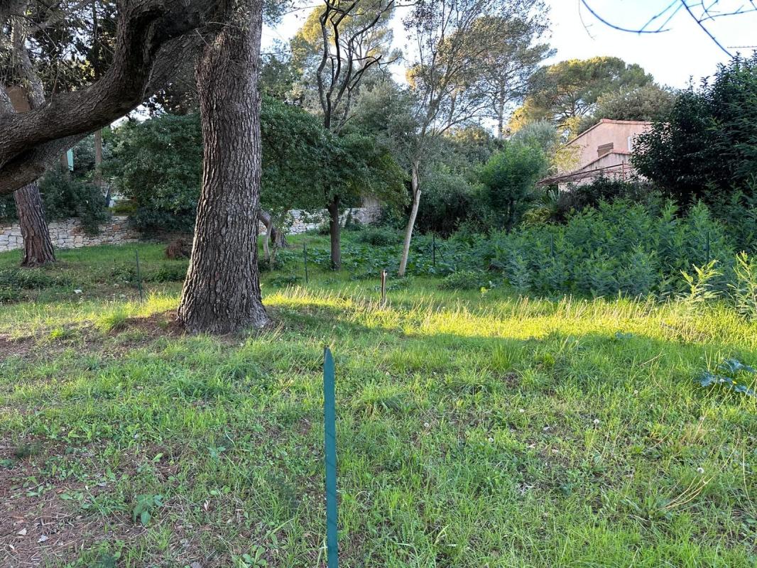 Photo Terrain à vendre St marguerite (83130 La Garde) image 2/2