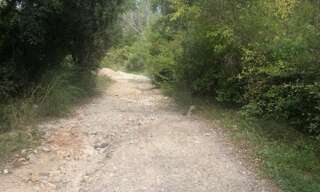 Maison  41010 m² à vendre à Cuers (83390)