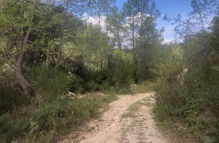 Terrain de loisirs de 41010m² sur Cuers (83390) accessible par voiture — photo 2