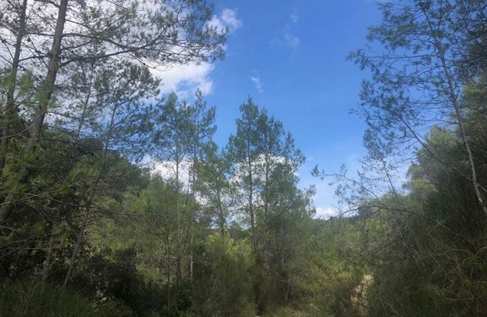 Terrain de loisirs de 41010m² sur Cuers (83390) accessible par voiture — photo 3
