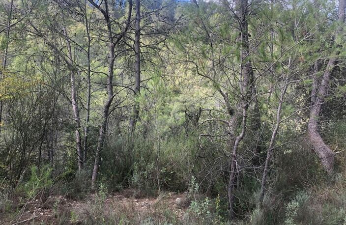 Terrain de loisirs de 41010m² sur Cuers (83390) accessible par voiture — photo 4