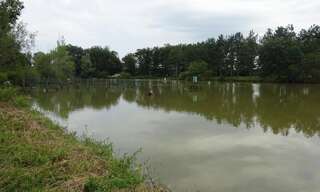 Maison 7 Pièces 110 m² à vendre à Rosnay (36300)