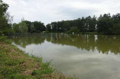 Maison 7 pièces 311000 €