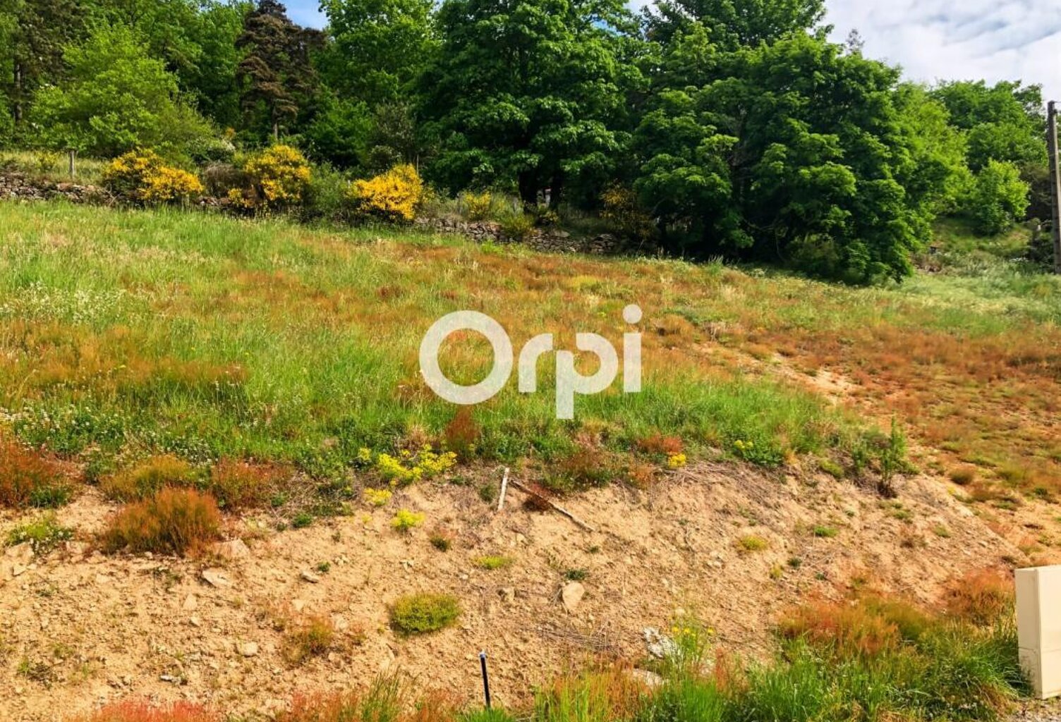 🏡 Construisez votre avenir à Pomeys – Terrain viabilisé de 665 m² au cœur du village ! — photo 1