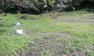 Terrain  3292 m² à vendre à Ducos (97224)