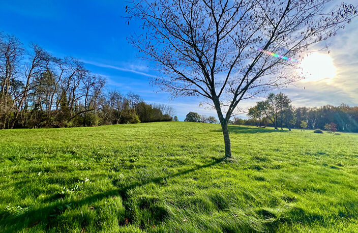 Secteur Villeneuve-sur-Lot, à la campagne mais non isolé, venez découvrir cette charmante maison en pierre de 77,84 m² habitables, accompagnée d'une grange d'environ 250 m², le tout sur plus de 5,3 hectares de terrain. La maison se compose d'une double en — photo 2