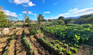 Maison 5 Pièces 147 m² à vendre à Perpignan (66000)