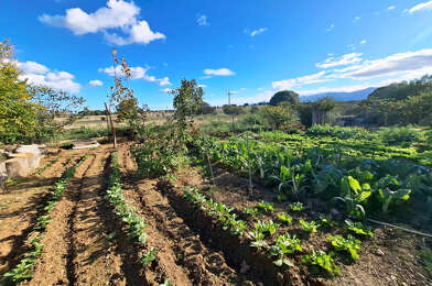 Maison 5 pièces 650000 €