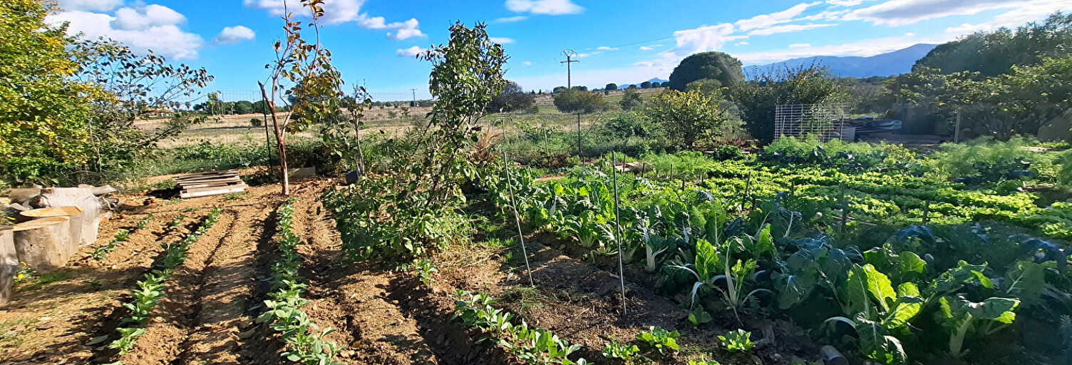 Maison 5 Pièces 147 m² à vendre à Perpignan (66000)