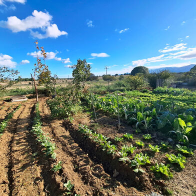 Maison 5 pièces 650000 €
