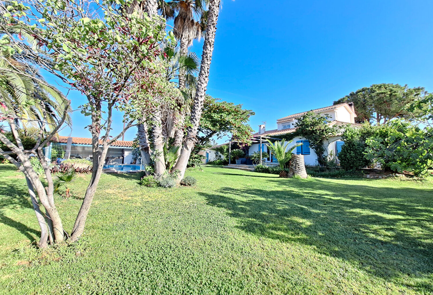 Perpignan SUD Villa 4 faces de Type 5 sur 4000m2 de terrain — photo 1