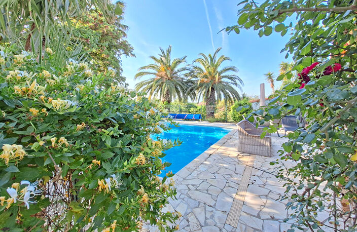 Perpignan SUD Villa 4 faces de Type 5 sur 4000m2 de terrain — photo 3