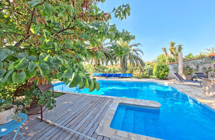 Perpignan SUD Villa 4 faces de Type 5 sur 4000m2 de terrain — photo 4