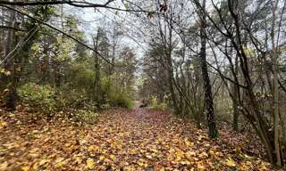 Terrain  108475 m² à vendre à Belleu (02200)