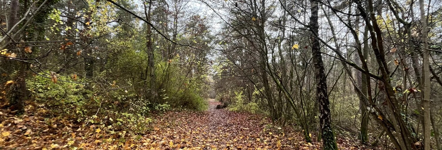 Terrain  108475 m² à vendre à Belleu (02200)