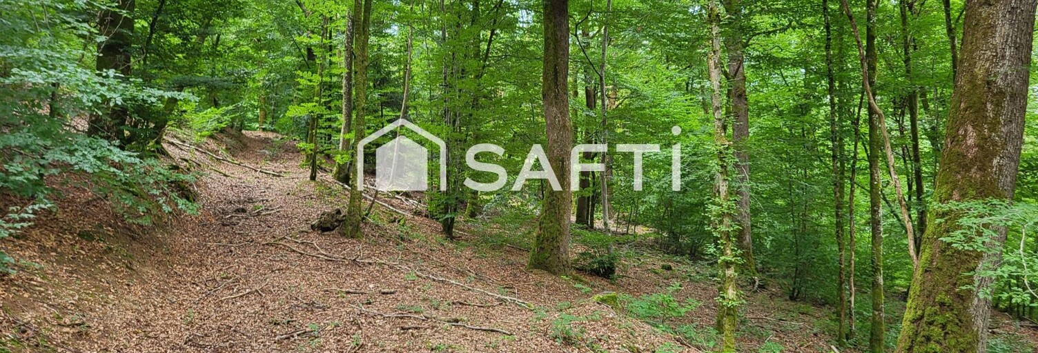 Terrain  4217 m² à vendre à Ronchamp (70250)