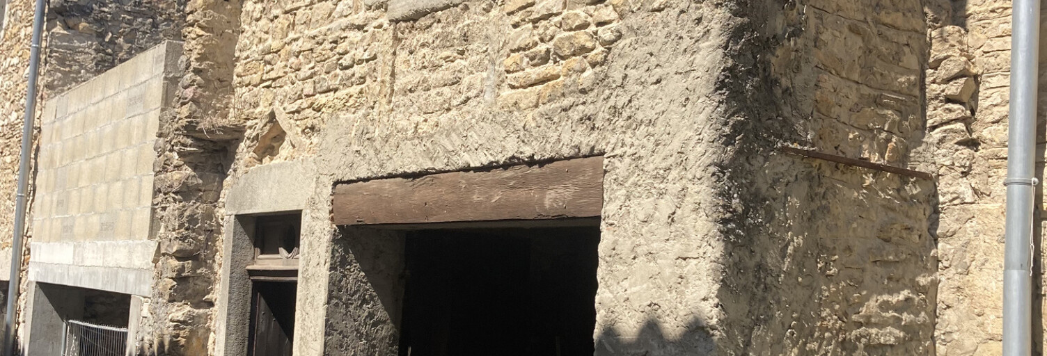 Maison 1 Pièce 30 m² à vendre à Saint-Sorlin-en-Bugey (01150)