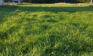 Terrain  2695 m² à vendre à Langon-sur-Cher (41320)