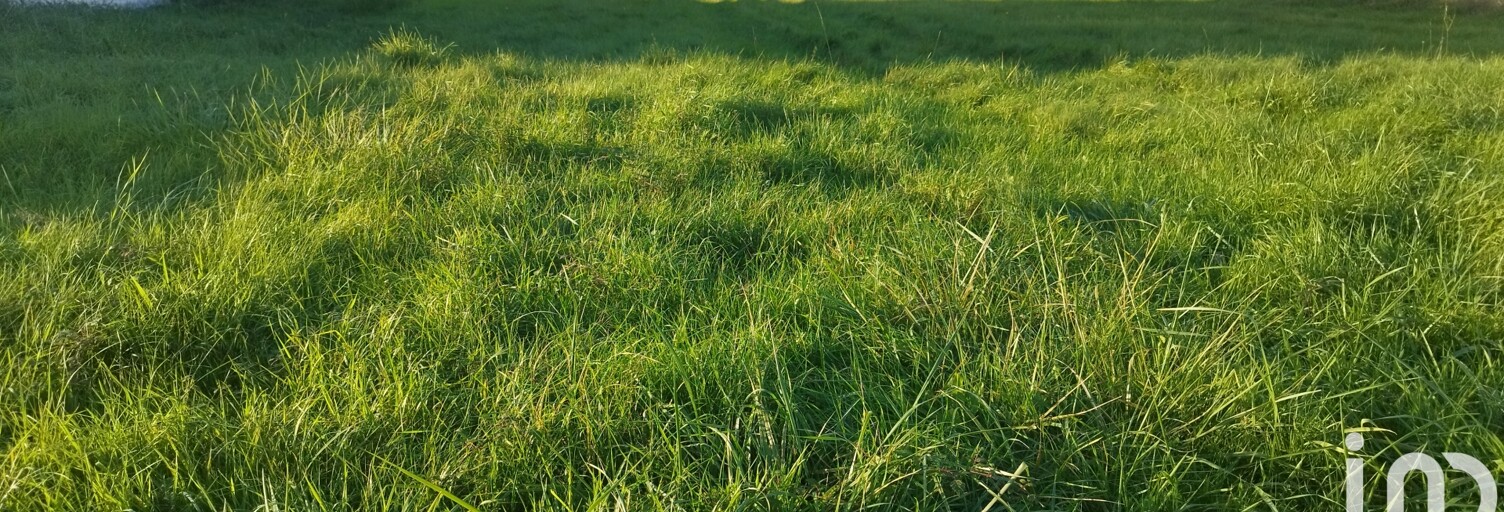 Terrain  2695 m² à vendre à Langon-sur-Cher (41320)