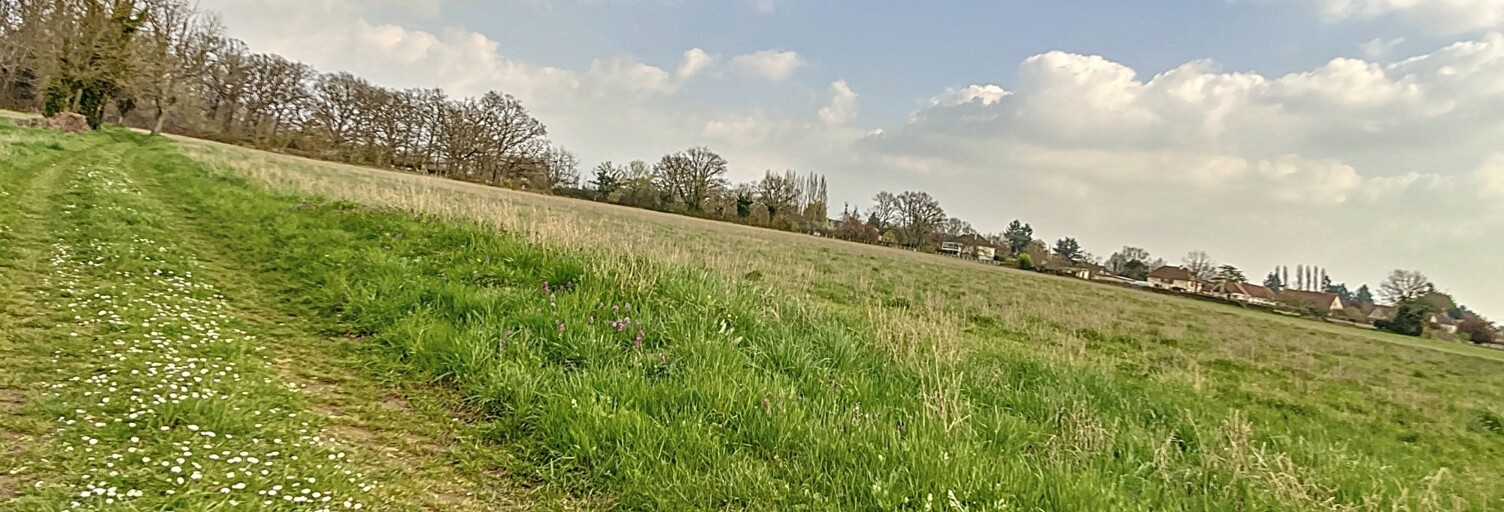 Terrain  3831 m² à vendre à Marzy (58180)