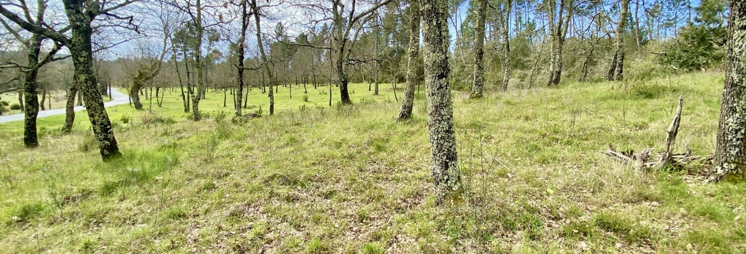 Terrain  5010 m² à vendre à Fayence (83440)