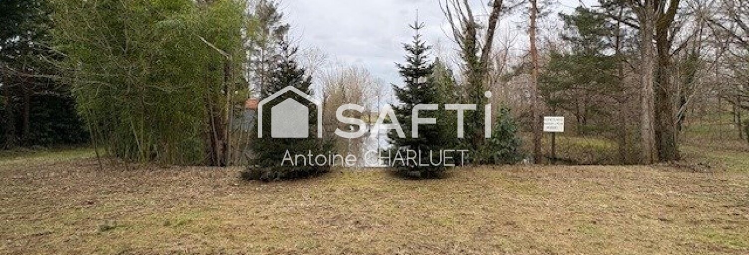 Terrain  4182 m² à vendre à Buzançais (36500)