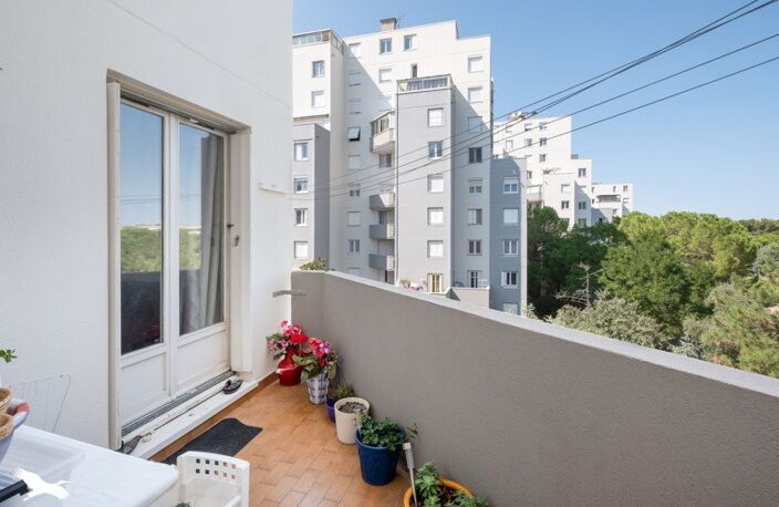 Appartement de 4 pièces principales — photo 2