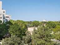 Appartement de 4 pièces principales — photo 3