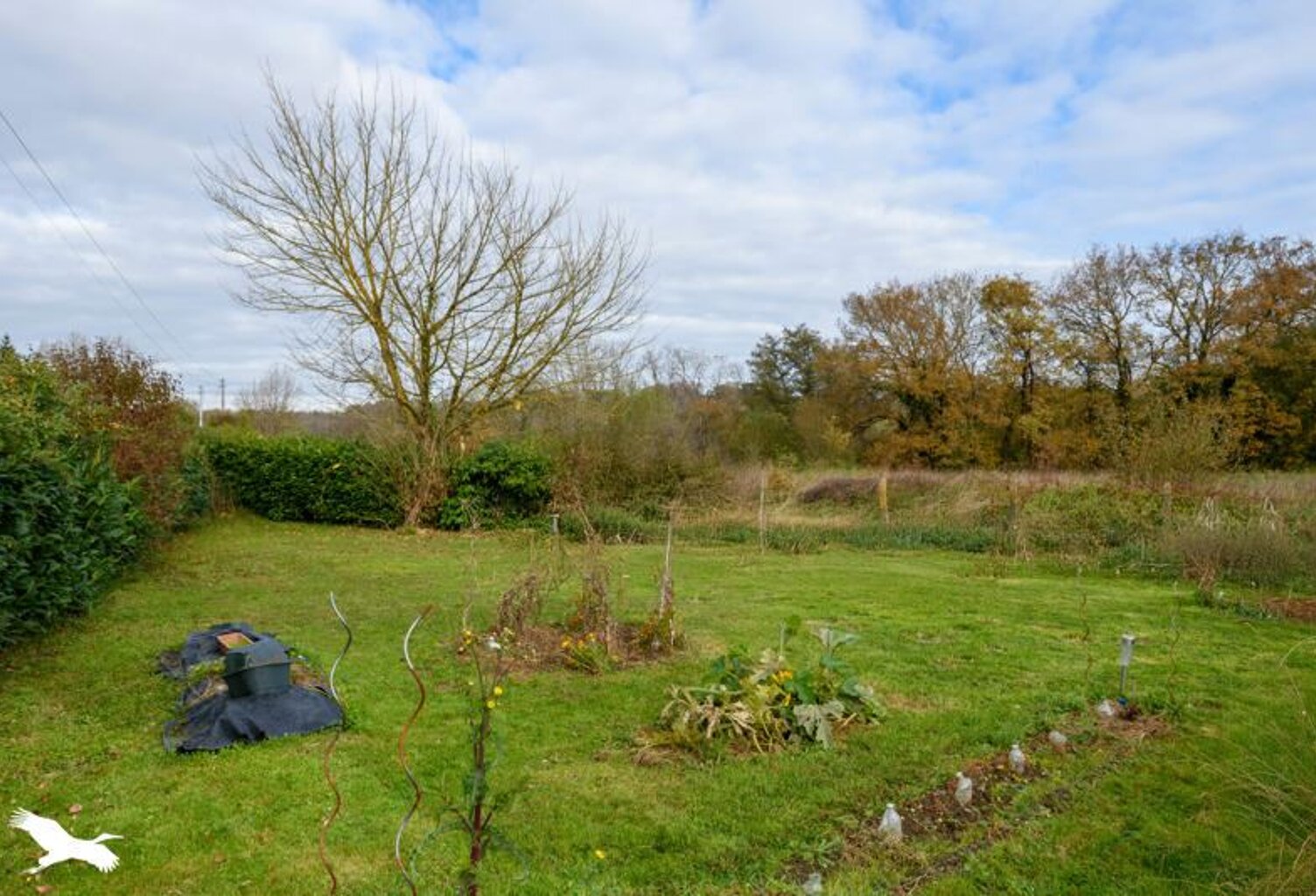 Vente immeuble   Hagetmau (40700) — photo 1