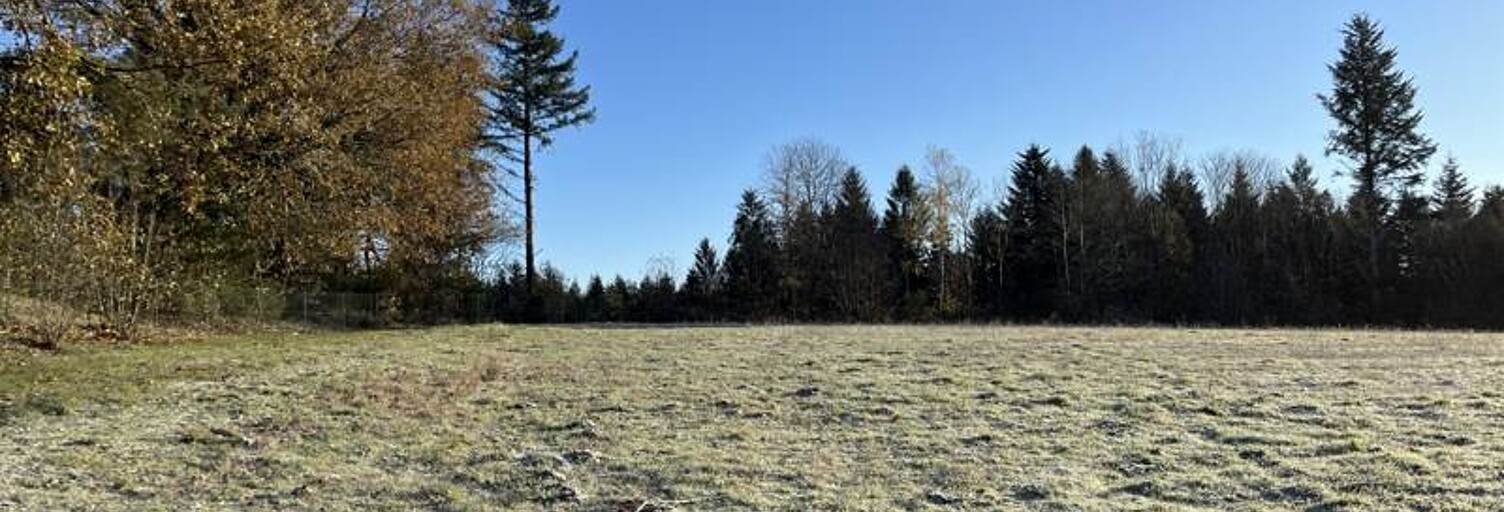 Terrain  2108 m² à vendre à Palazinges (19190)