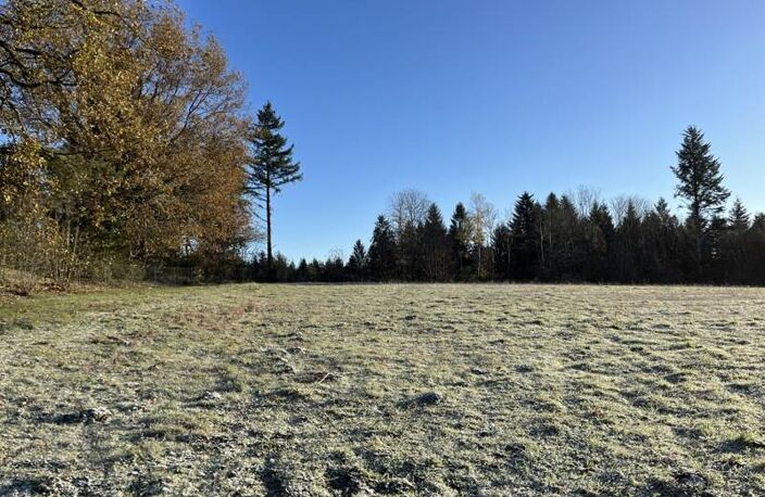 Vente terrain  2108 m² Palazinges (19190) — photo 2