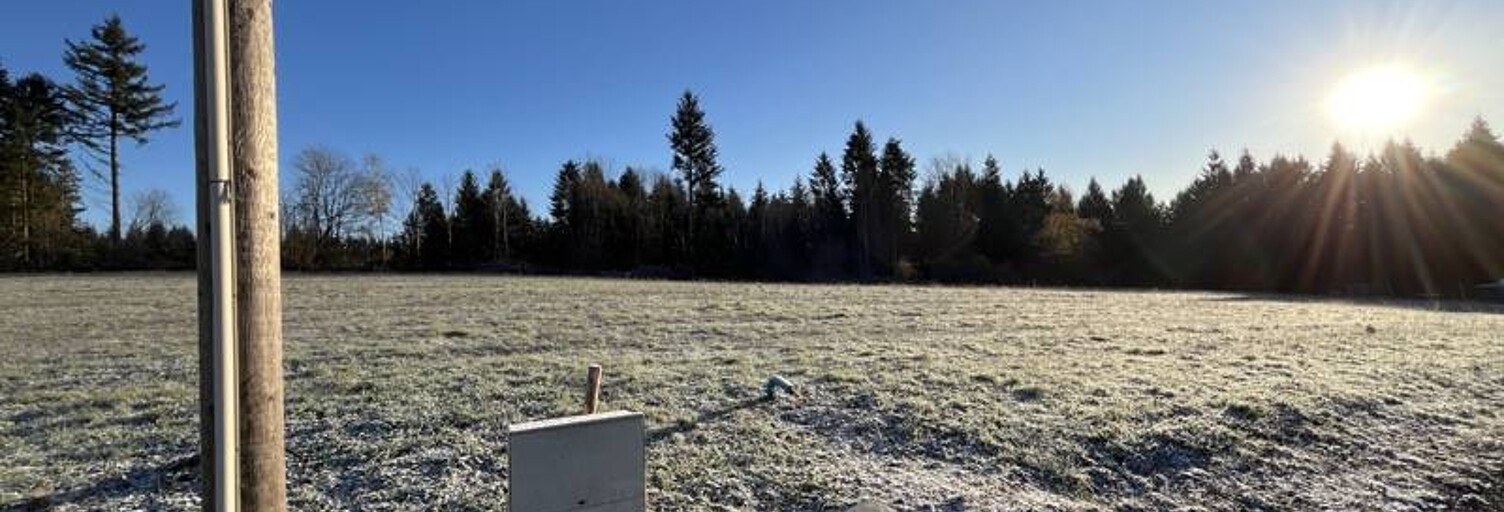 Terrain  1742 m² à vendre à Palazinges (19190)