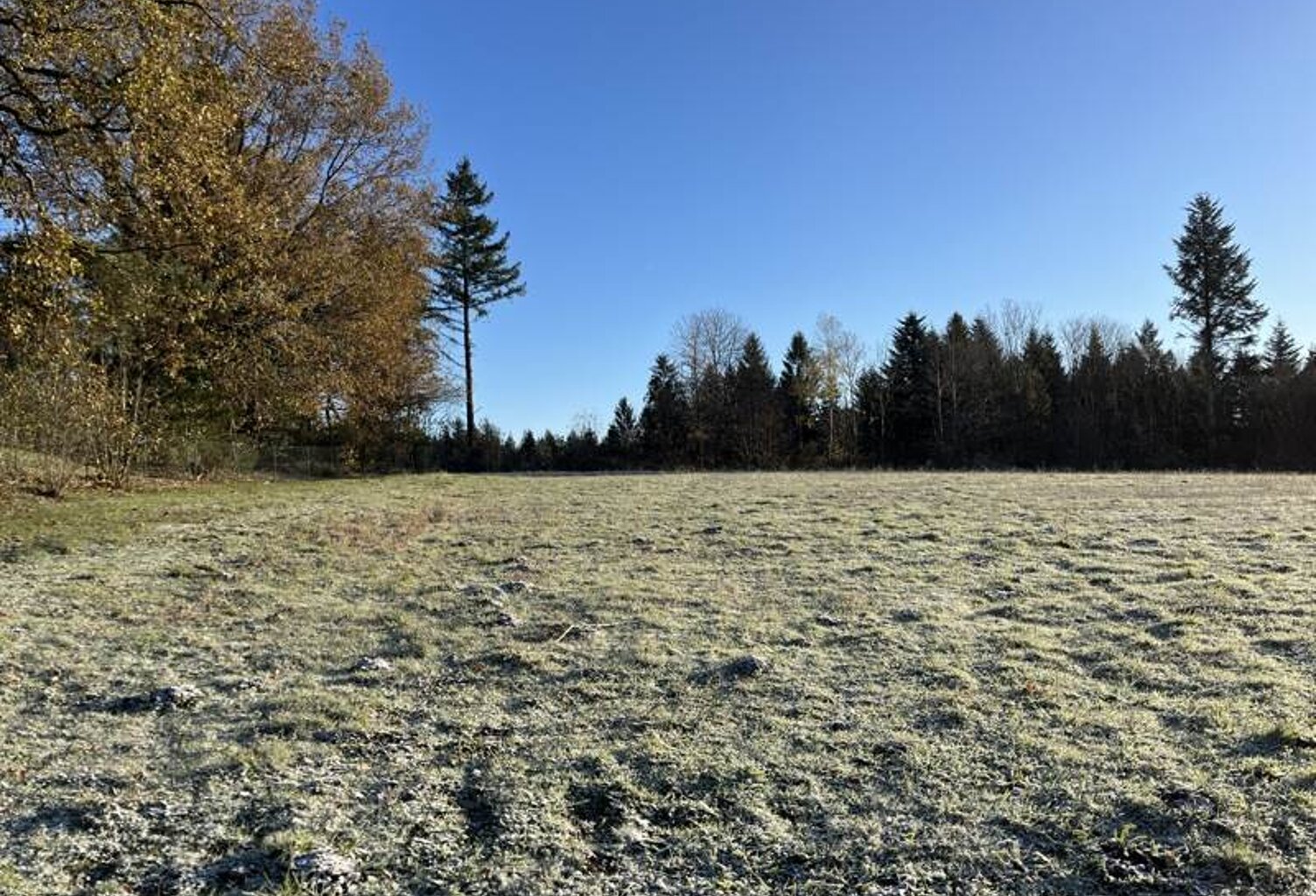 Vente terrain  1742 m² Palazinges (19190) — photo 1
