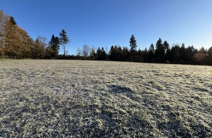 Vente terrain  1742 m² Palazinges (19190) — photo 2