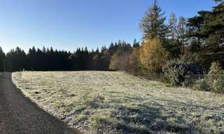 Terrain  1793 m² à vendre à Palazinges (19190)