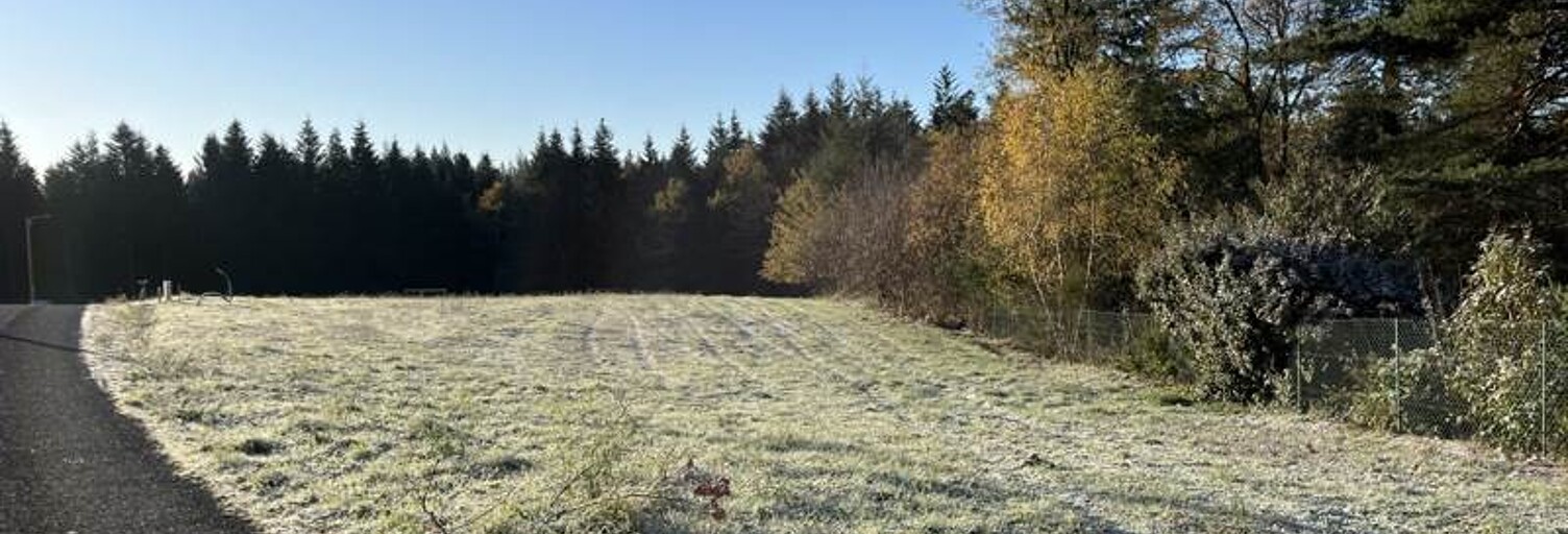 Terrain  1793 m² à vendre à Palazinges (19190)